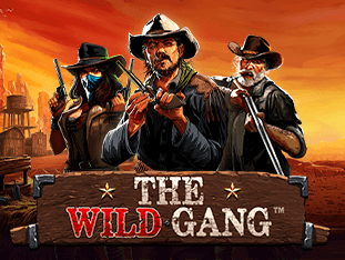 The Wild Gang game thumbnail